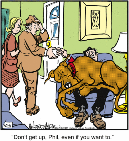 marmaduke
